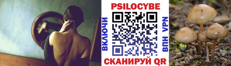 хочу   Бирюсинск  omg зеркало  Псилоцибиновые грибы MAGIC MUSHROOMS 